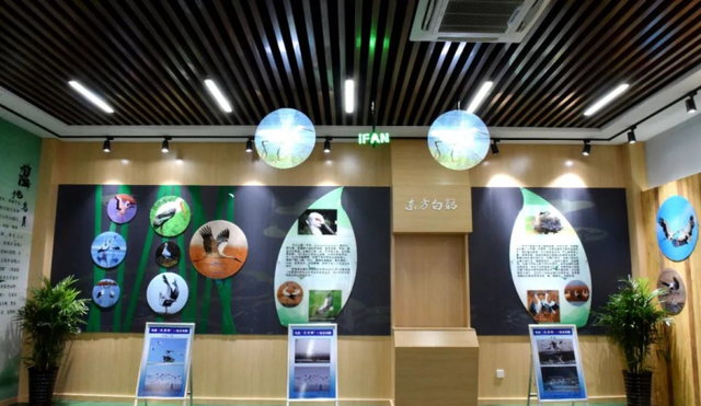 展館設計 ， 展館 ， 鑫時空